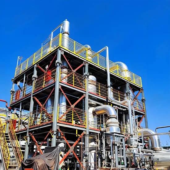 Industrial plant support structure